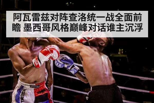 boxer training gloves