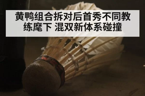 黄鸭组合拆对后首秀不同教练麾下 混双新体系碰撞