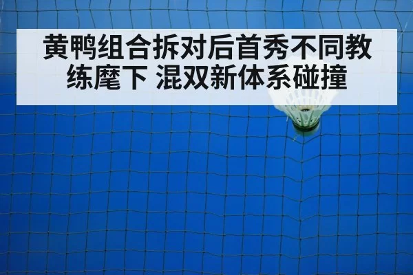 badminton training court